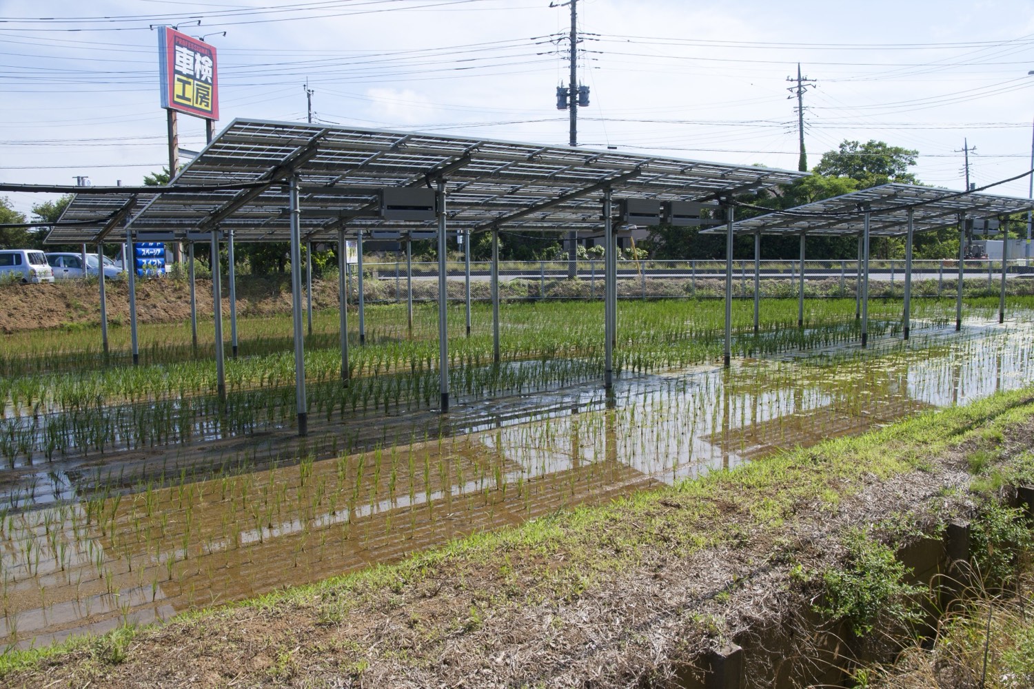 A solar array at a metered, grid-connected energy site